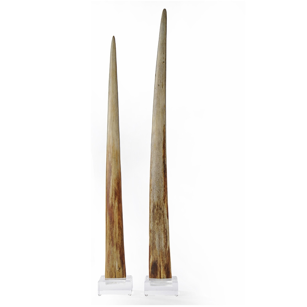 Swordfish Bills on Lucite Base HD-11921.jpg