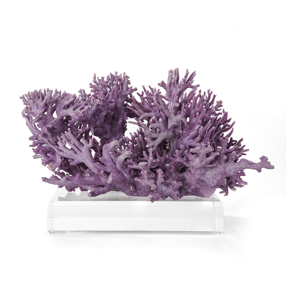 Purple Coral on Lucite Base