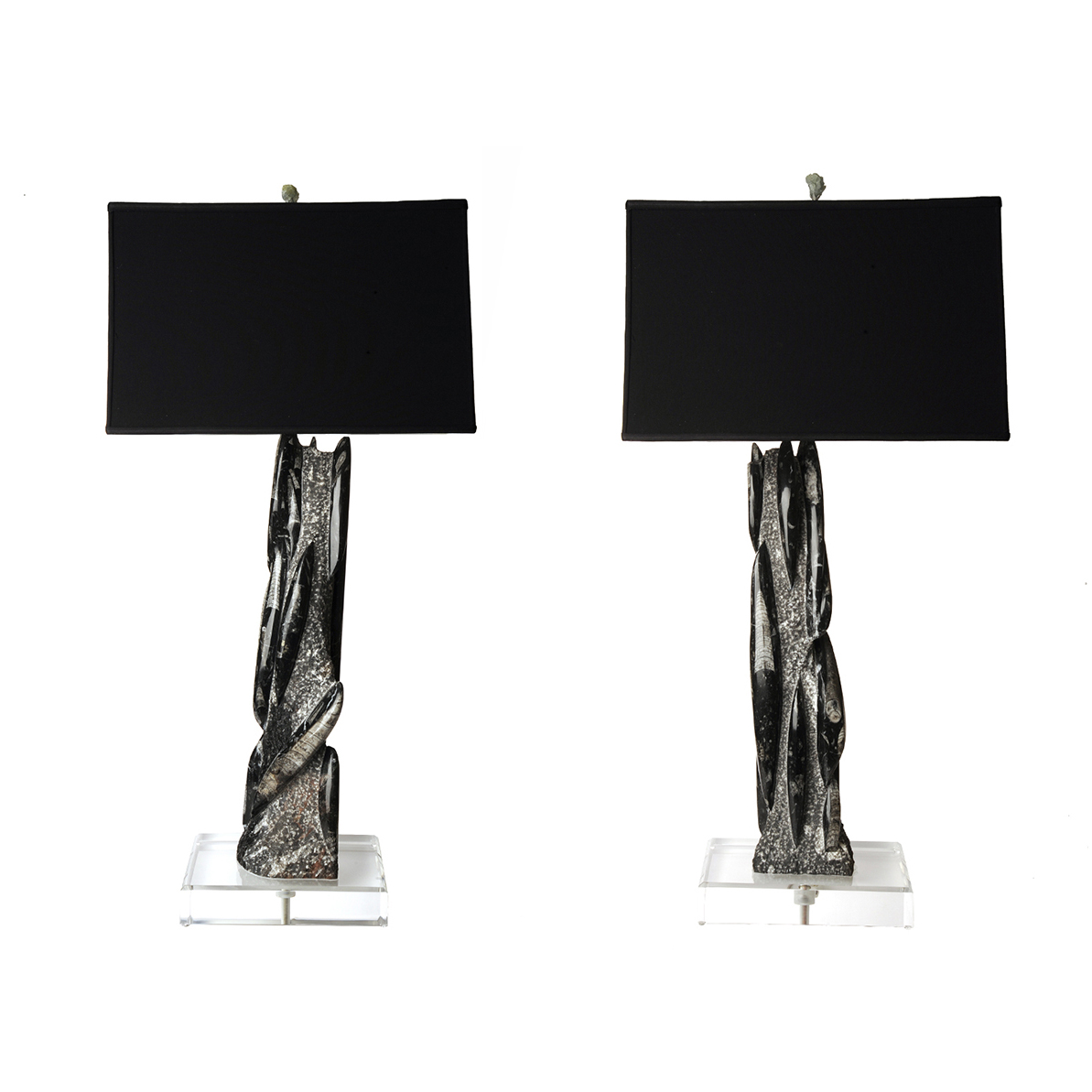Orthoceras Fossil Lamp Pair on Lucite