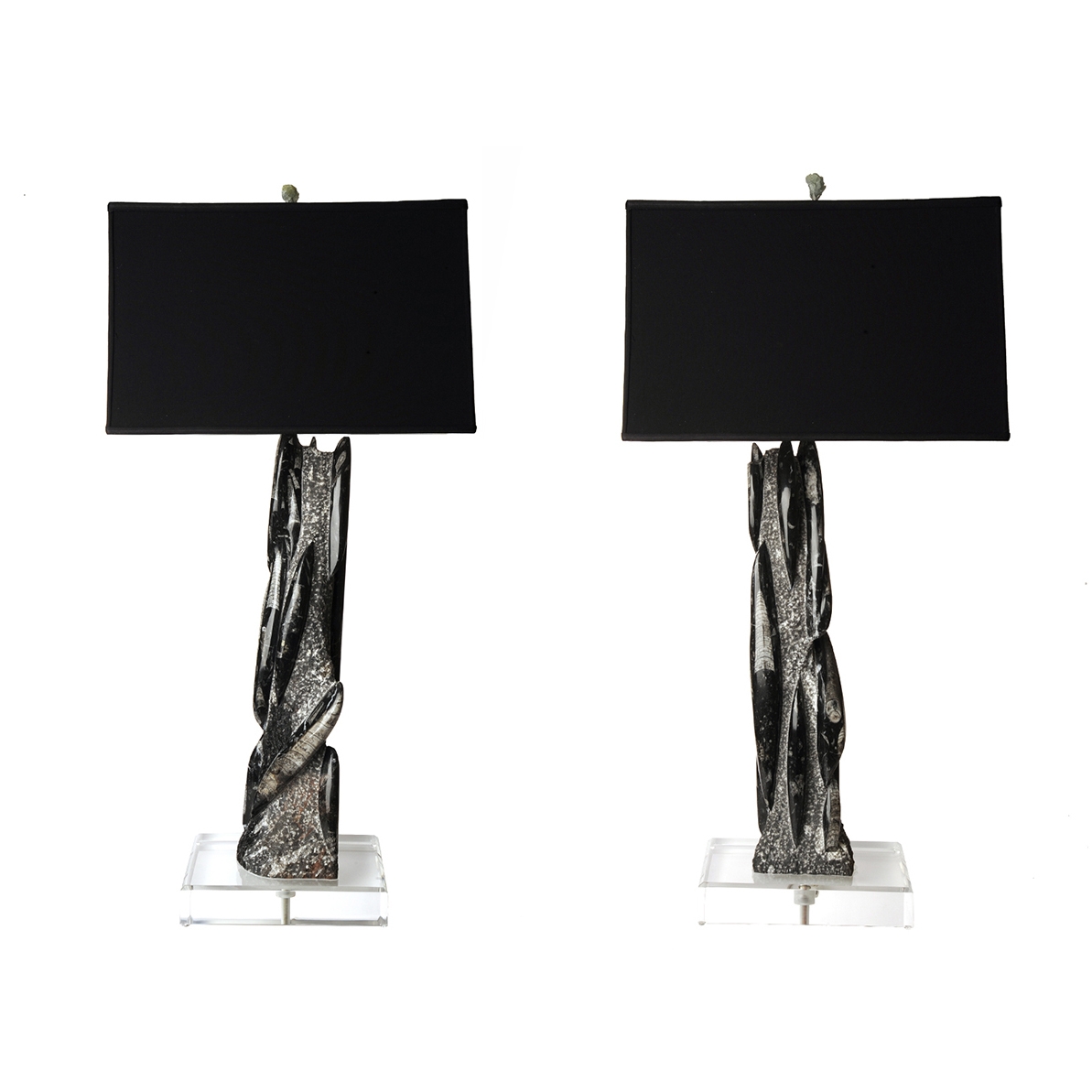 Orthoceras Fossil Lamp Pair on Lucite L-1023_web.jpg