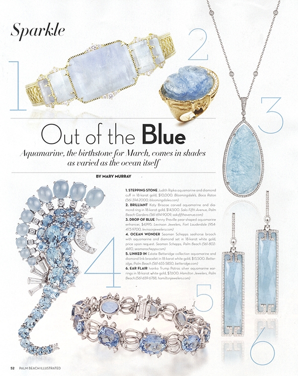 Palm Beach Illustrated March 2014