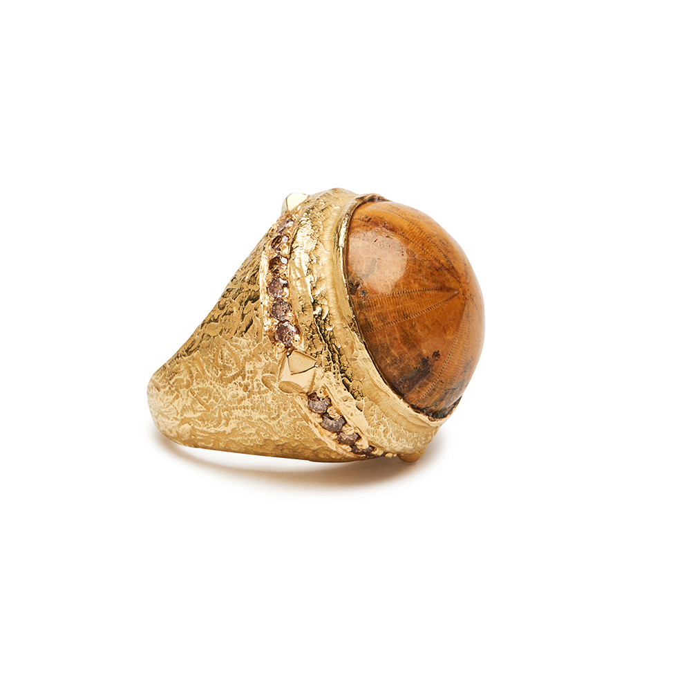 Fossilized "Sea Biscuit" and Brown Diamond Ring